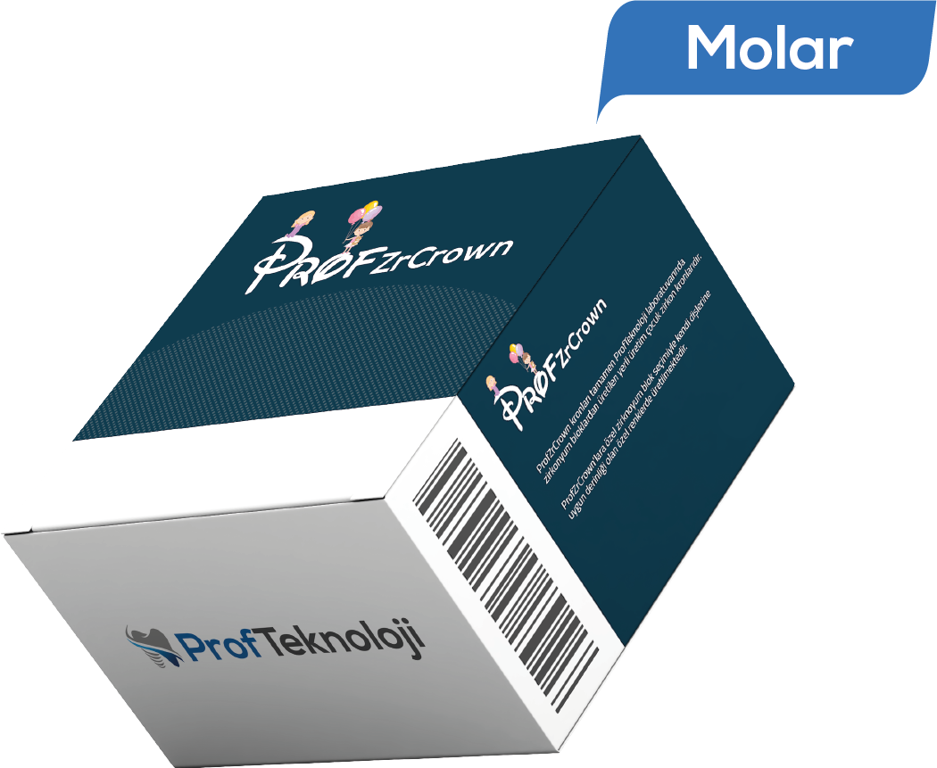 Molar Tekli Kutu (1 Adet)